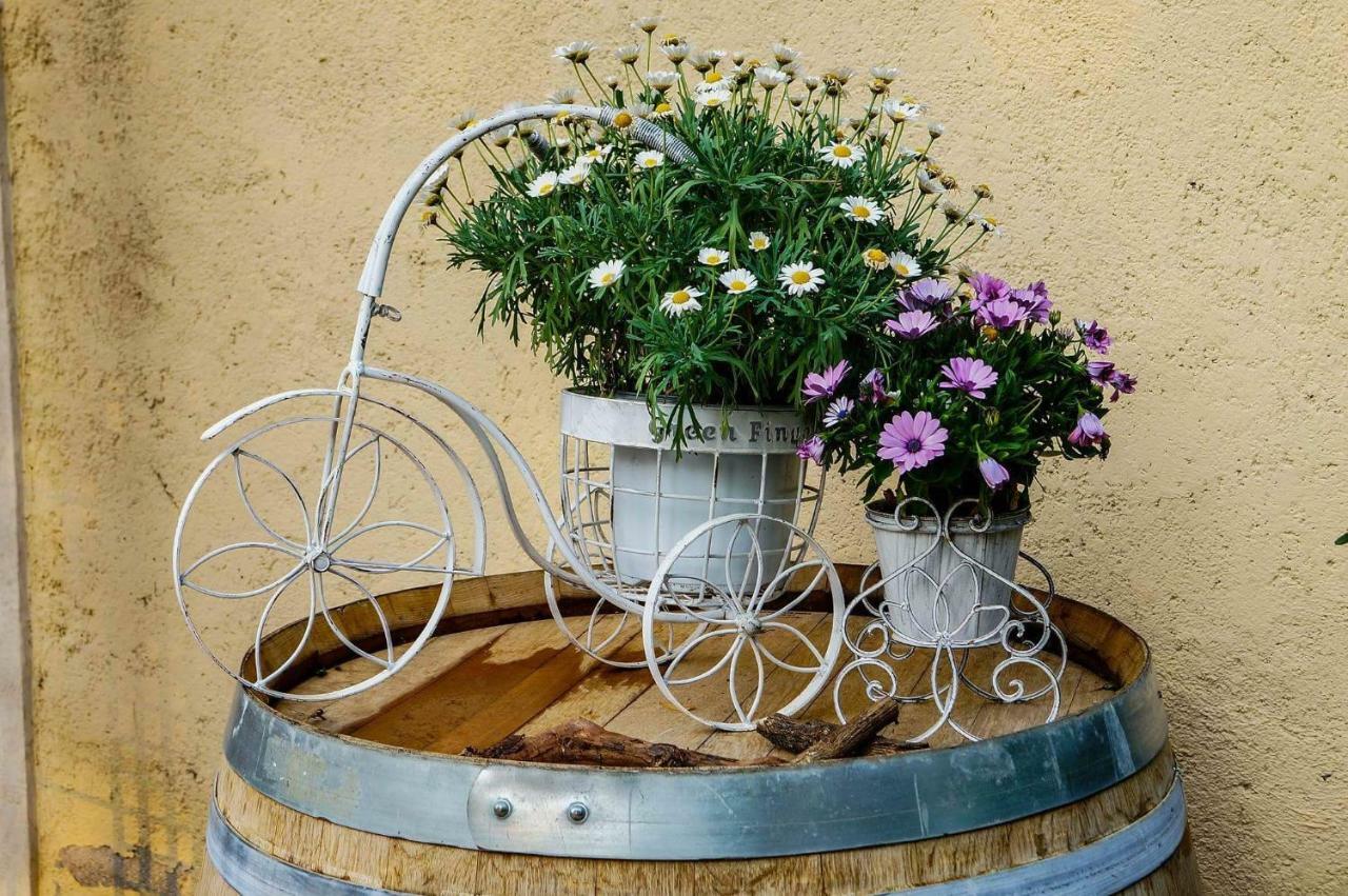 Casale Del Sole Garda Bed & Breakfast Monzambano Luaran gambar